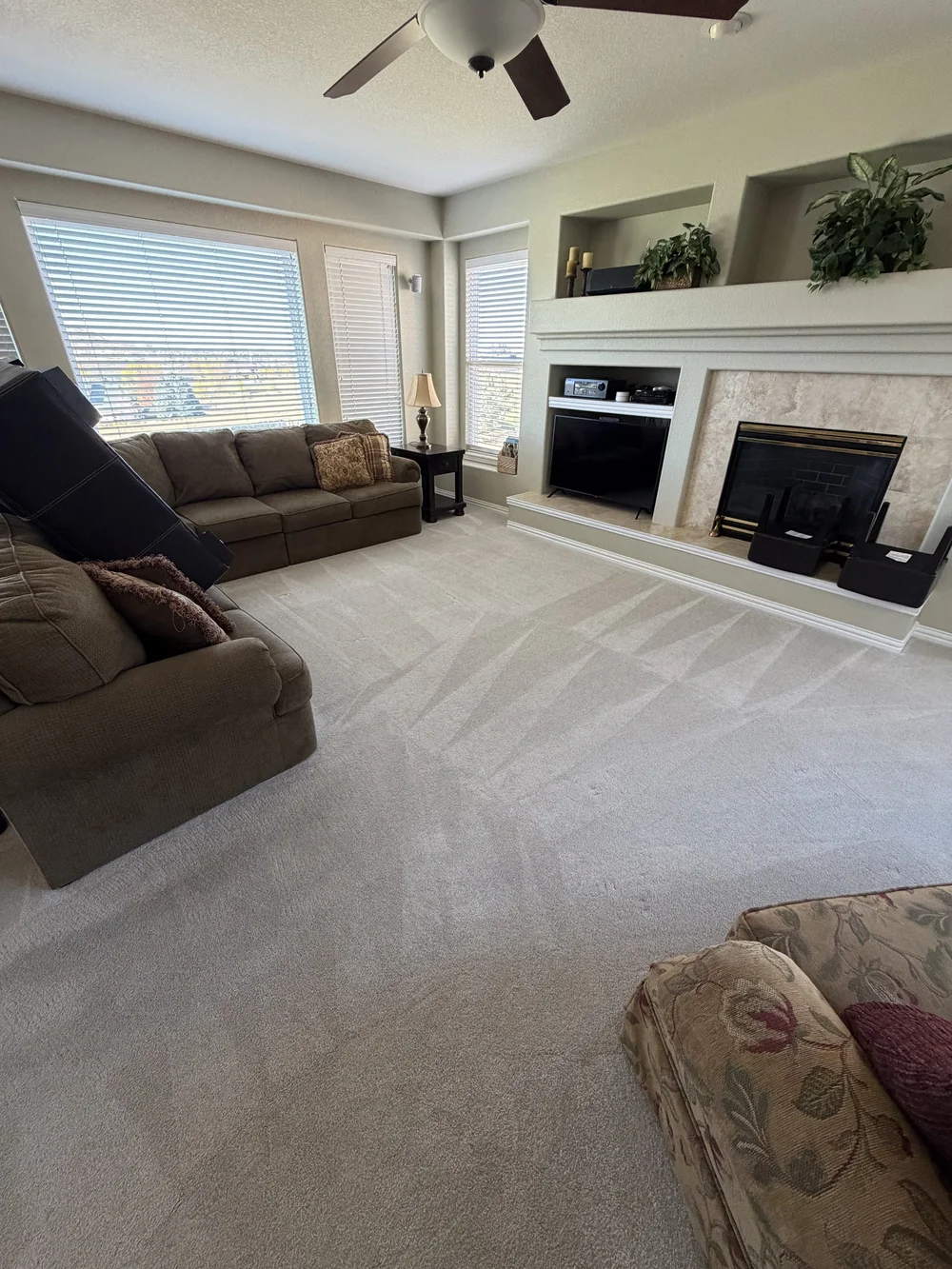 Freshly cleaned living room carpet